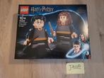 Lego 76393 Harry Potter, Ophalen of Verzenden, Zo goed als nieuw