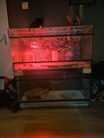 Terrariums 100  50 50, Ophalen