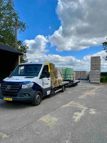 Hooi met analyse! In bundels van 12 beschikbaar voor biedingen