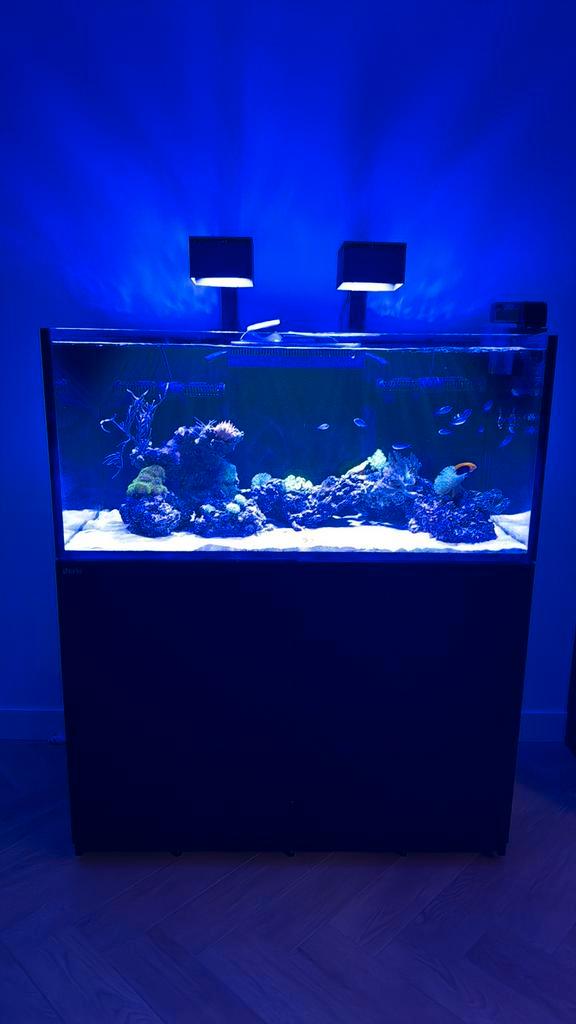Red sea 425 g2 (incl opvoerpomp, verlichting, uv lamp), Dieren en Toebehoren, Vissen | Aquaria en Toebehoren, Zo goed als nieuw