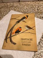 Tropische vogels, Ophalen of Verzenden, Zo goed als nieuw, Vogels