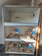 Kweekooien Broedkooien, Ophalen, Zo goed als nieuw, 110 cm of meer, Kooi