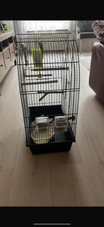 Vogel kooi compleet met waterbak en voerbakken, Dieren en Toebehoren, Ophalen of Verzenden, Zo goed als nieuw, Hout, Vogelkooi