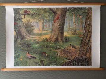 Schoolplaten (6) van M.A.Koekoek beschikbaar voor biedingen