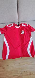 Hummel FC Emmen shirt maat 152, Ophalen of Verzenden, Zo goed als nieuw, Shirt of Longsleeve, Hummel