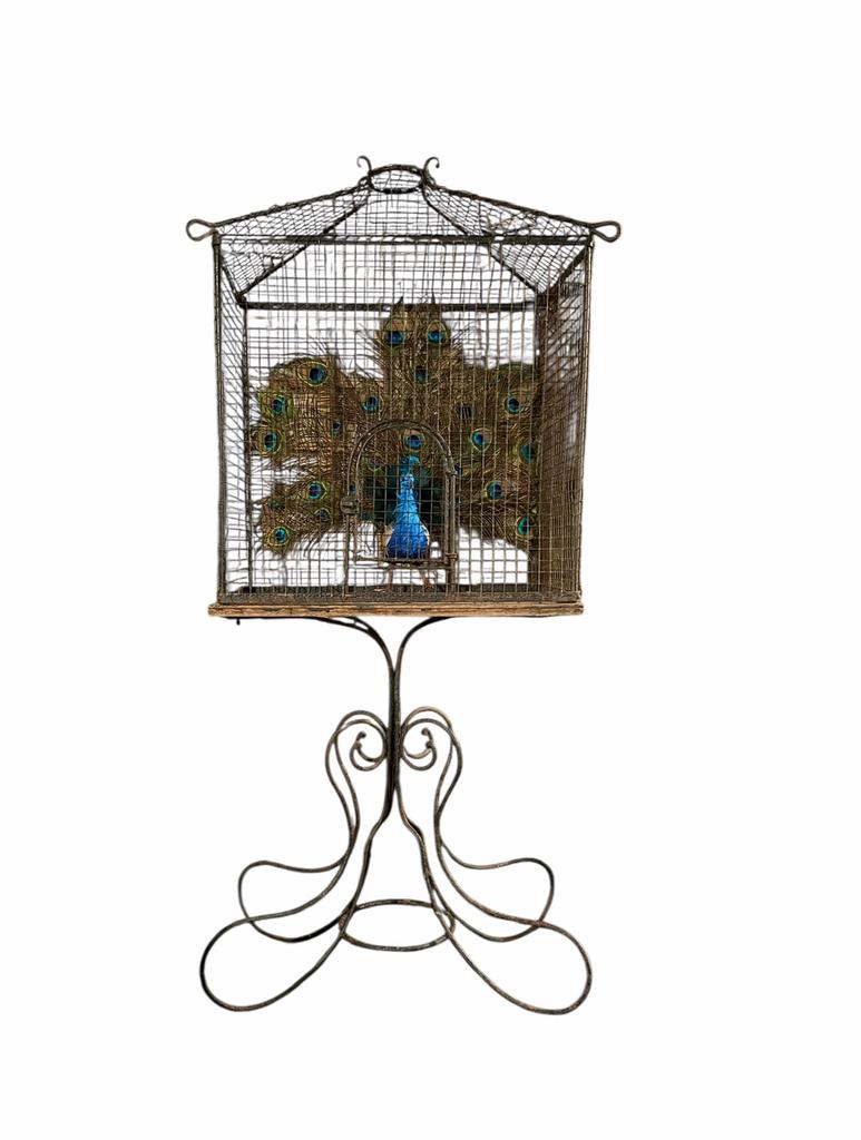 Sierlijke Antieke Vogelkooi op Voet, Antiek en Kunst, Ophalen