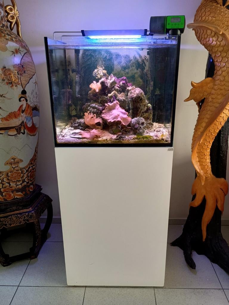 130L zoutwater aquarium Elos compleet, Ophalen, Gevuld zeewateraquarium, Gebruikt, Overige merken