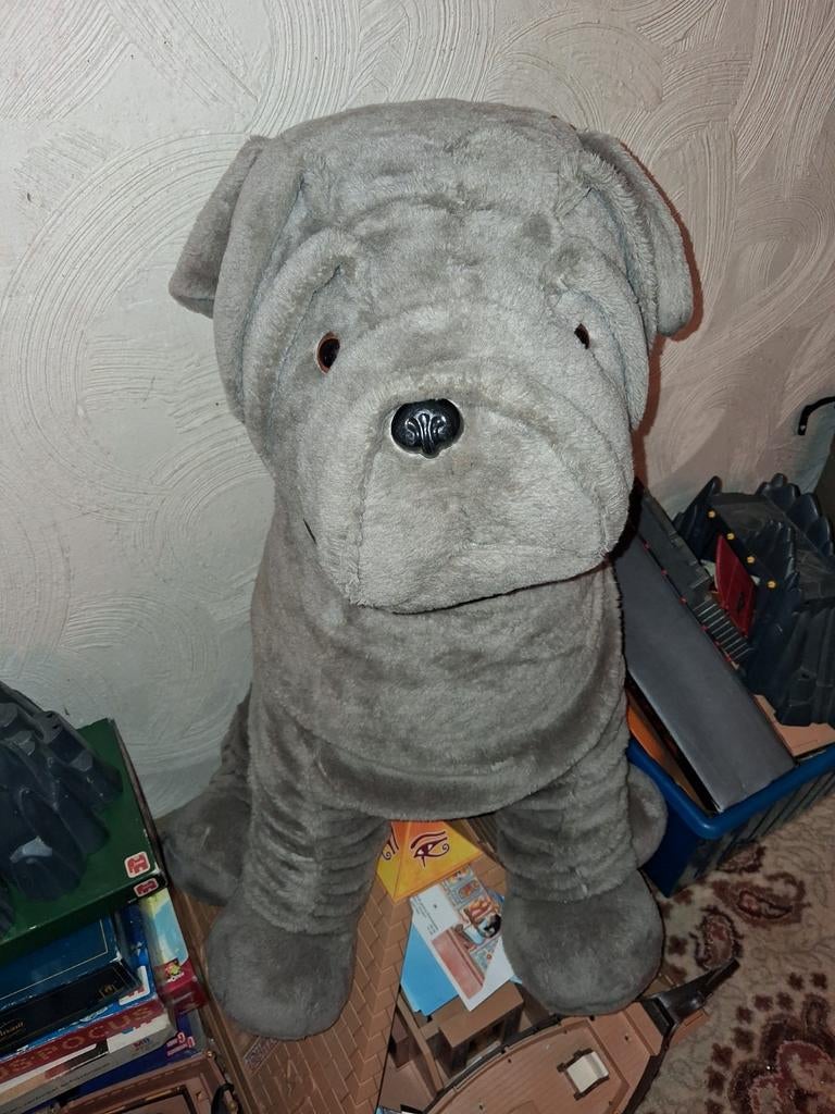 Grote grijze knuffelhond, Ophalen, Overige typen