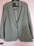 Mintgroen damespak maat 54, Ophalen of Verzenden, MS Mode, Jasje of Colbert, Gedragen