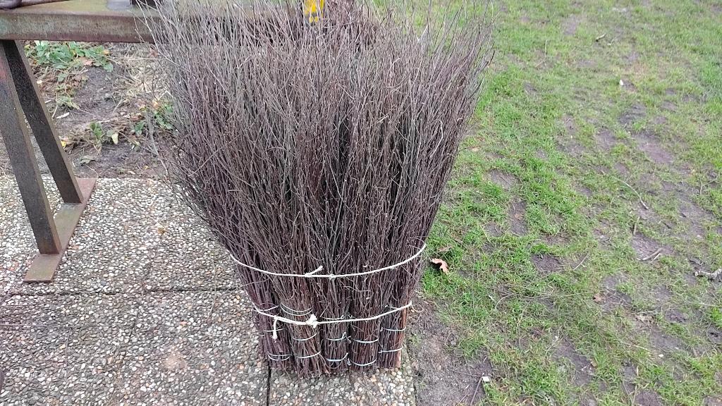 Berken rijsbezems Halloween Bezems, Ophalen, Nieuw, Bezem