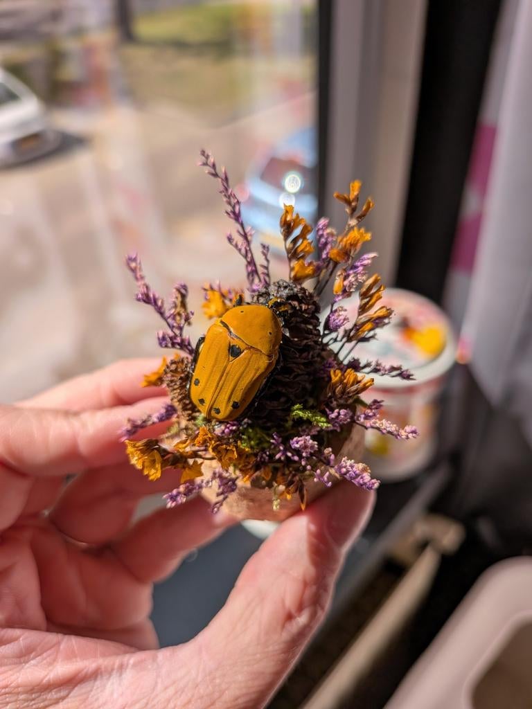 Mini stolp met opgezette oranje kever en droogbloemen, Verzenden, Overige stijlen, Nieuw, Natuurlijk materiaal