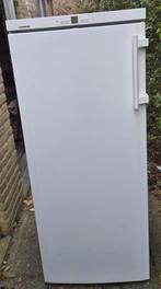 Liebherr koelkast A++, Ophalen, 200 liter of meer, 60 cm of meer, Energieklasse A of zuiniger