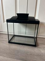 Superfish aquarium start 20, Dieren en Toebehoren, Vissen | Aquaria en Toebehoren, Ophalen of Verzenden, Zo goed als nieuw, Leeg aquarium