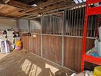 Twee stallen vrij op kleinschalige stal in Oldeholtpade, Dieren en Toebehoren