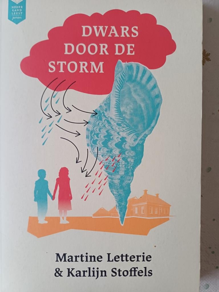 MARTINE  Letterie. Dwars door  de storm., Fictie algemeen, Ophalen of Verzenden, Zo goed als nieuw, Martine Letterie& Karlijn Stoffels