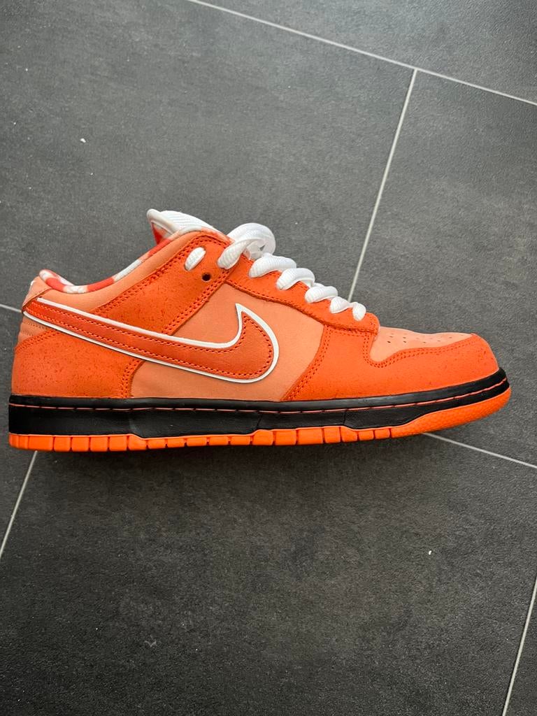 Nike dunk sb Orange lobster, Ophalen of Verzenden, Zo goed als nieuw, Overige kleuren