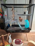 Rattenkooi met toebehoren. Zie omschrijving, Dieren en Toebehoren, Ophalen, Metaal, Vogelkooi