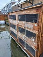 Konijnen flat 2 meter 42 lang   zonder konijnen, Ophalen, 110 cm of meer, Hok, 90 cm of meer