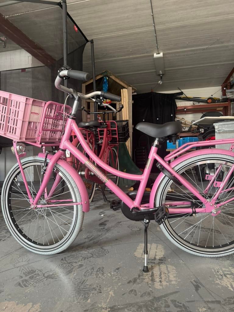 Alpina cargo 22 inch, Ophalen of Verzenden, Nieuw, 22 inch