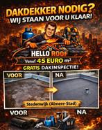 Dakdekker gezocht?, Diensten en Vakmensen, Dakdekkers en Rietdekkers, 24-uursservice, Overige dakdekking