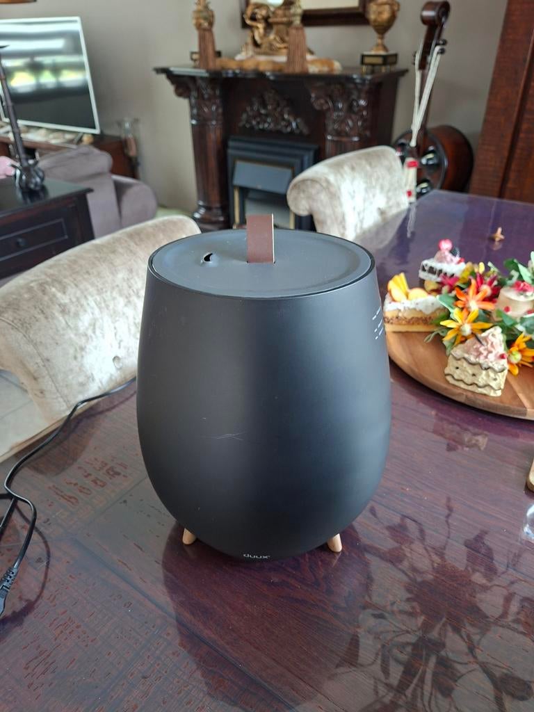 Duux luchtontvochtiger tab 2 izgs 30 euro, Witgoed en Apparatuur, Ophalen of Verzenden, Luchtontvochter