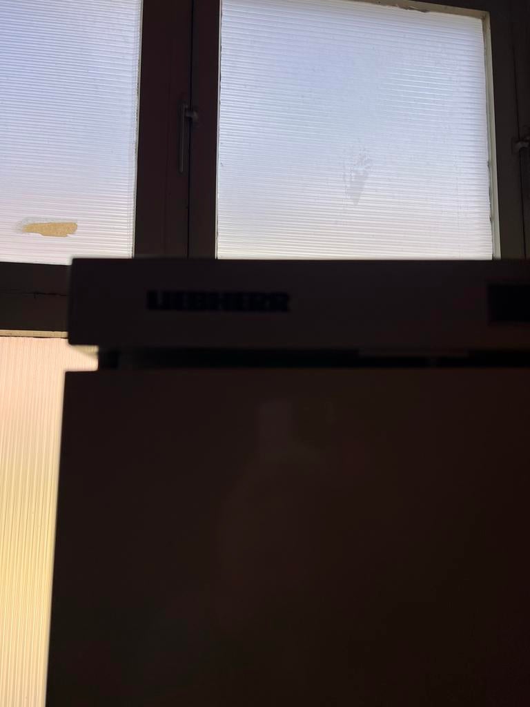 Liebherr koelkast 170 cm x 60 cm, 45 tot 60 cm, Zonder vriesvak, Gebruikt, 160 cm of meer