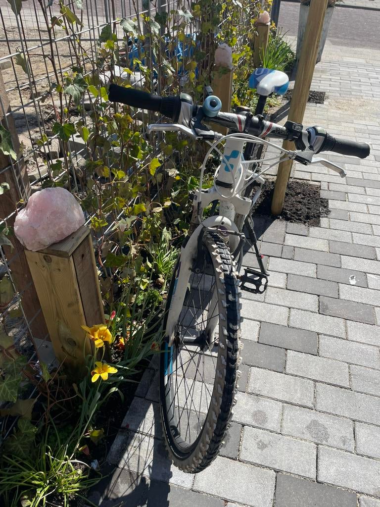 Cube 240 24inch wielen, Fietsen en Brommers, Fietsen | Meisjes, Ophalen, Gebruikt, Velgrem