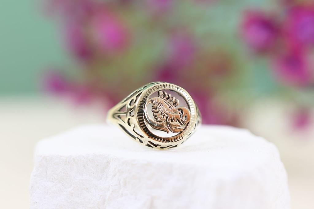 14 Karaat Gouden Schorpioen Ring – Sterrenbeeld, Ophalen of Verzenden, Zo goed als nieuw, 17 tot 18, Dame