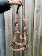 Halster roze, Dieren en Toebehoren, Paarden en Pony's | Hoofdstellen en Tuigage, Ophalen of Verzenden, Nieuw, Overige soorten