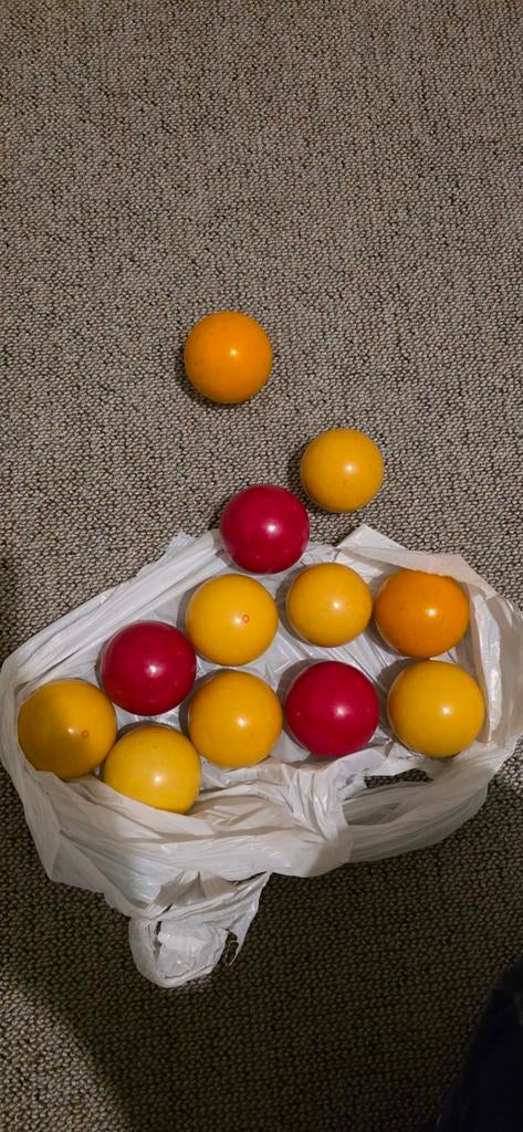 Set van 12 biljartballen., Ophalen