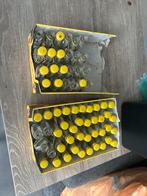 Glas flesjes flugel leeg / decoratie of versieren, Ophalen, Netvoeding