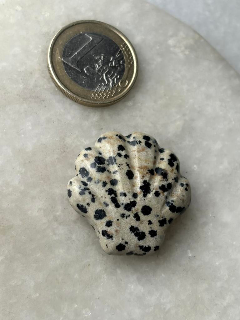 Dalmatier jaspis schelp nr 485, Ophalen of Verzenden