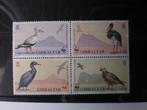 Gibraltar- Postfris - Vogels, Verzenden, Overige landen, Postfris