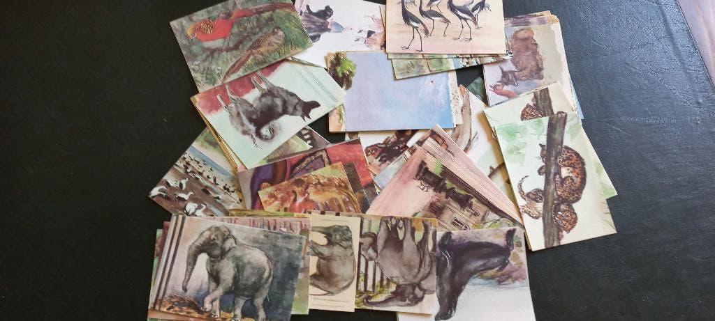 Collectie losse Rama dierenplaatjes, Verzenden, Nieuw, Plaatje