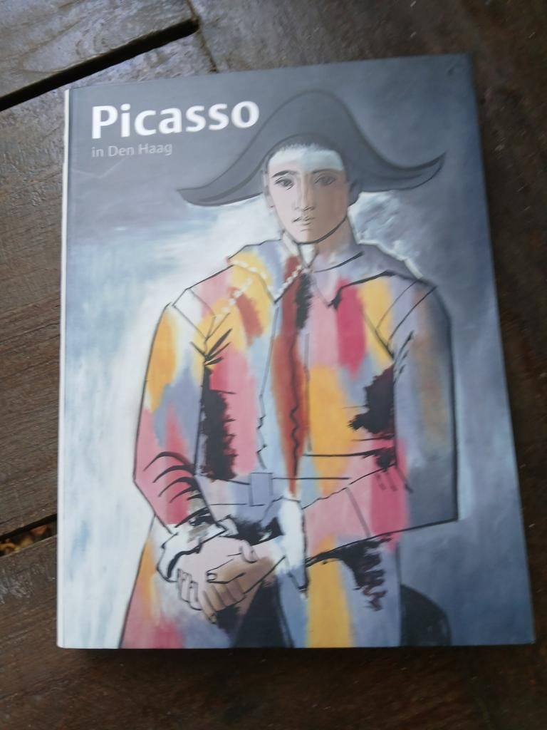 Boek, Picasso in Den Haag., Ophalen, Zo goed als nieuw, Schilder- en Tekenkunst