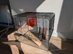 Compacte knaagdieren kooi hamsterkooi, Kooi, Gebruikt, Minder dan 75 cm, Hamster