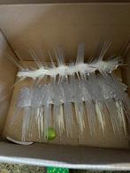 Duivenpinnen NIEUW, Ophalen of Verzenden, Nieuw, Kunststof