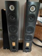Triangle Antal ESW , Nieuw paar kost nu €3000, Zo goed als nieuw, 120 watt of meer, Front, Rear of Stereo speakers, Ophalen