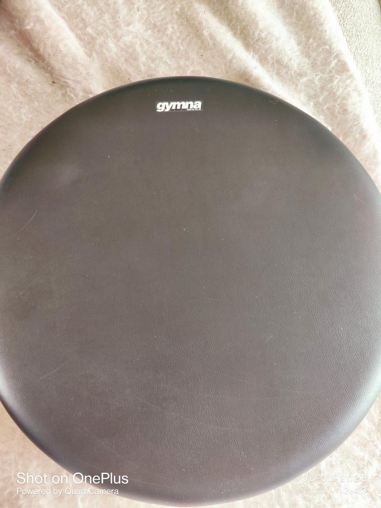 Gymna Balans Toestel (Fysio), Sport en Fitness, Fitnessmaterialen, Ophalen of Verzenden, Zo goed als nieuw, Balansbord