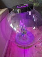 Biorb 105 liter, Dieren en Toebehoren, Ophalen of Verzenden, Leeg aquarium