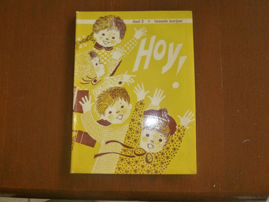 boek hoy deel 2, Boeken, Kinderboeken | Jeugd | onder 10 jaar, Ophalen of Verzenden, Zo goed als nieuw, Fictie algemeen