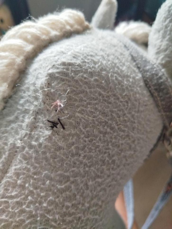 Hobby Horse, Kinderen en Baby's, Speelgoed | Overig, Gebruikt, Jongen of Meisje, Ophalen of Verzenden