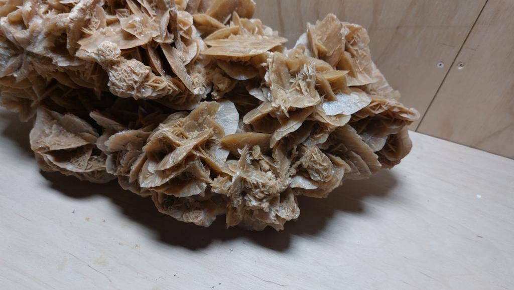 Woestijnroos, Ophalen of Verzenden