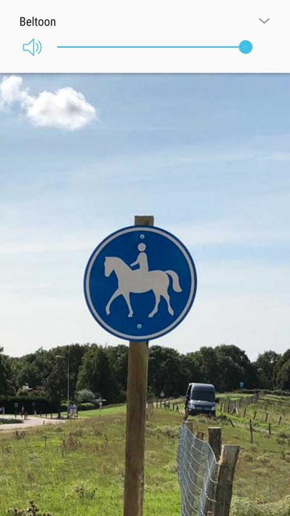 gezocht een gezond paard voor paardrijden voor gehandicapte, Dieren en Toebehoren, Paarden en Pony's | Overige Paardenspullen