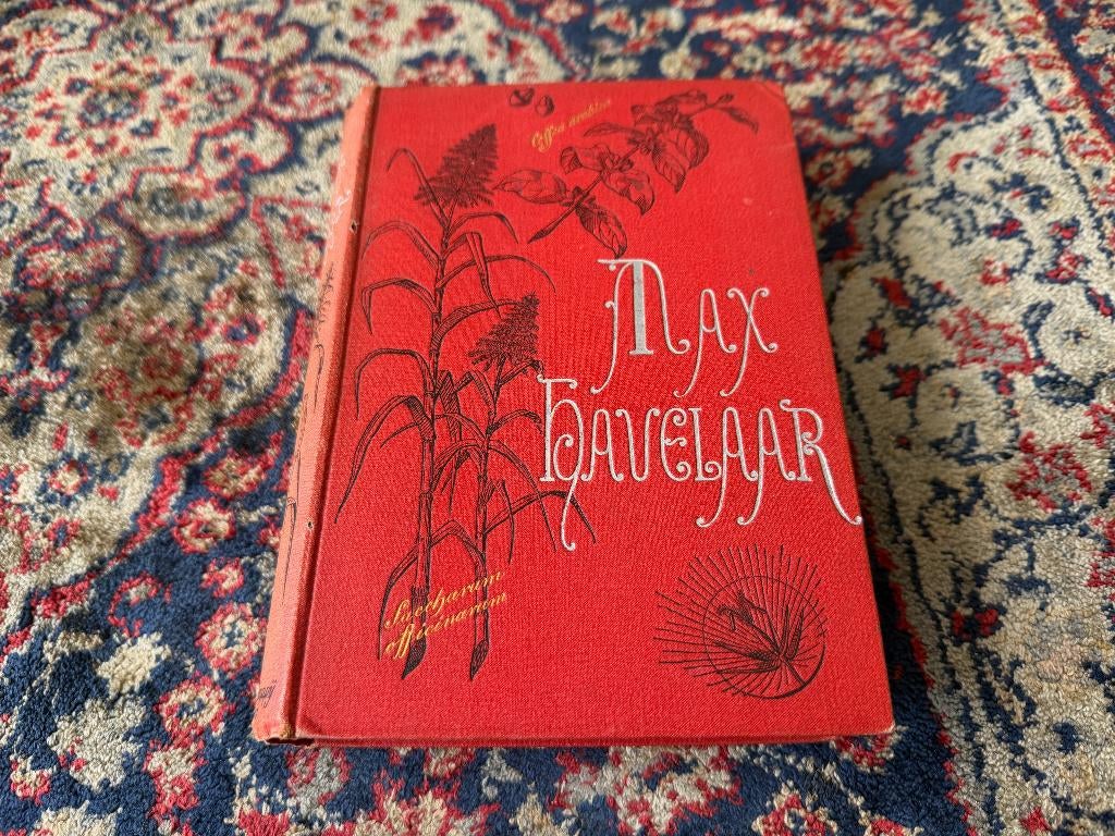 Max Havelaar of de Koffieveilingen der Nederlandsche  Nederl, Boeken, Gelezen, Nederland, Multatuli, Ophalen of Verzenden