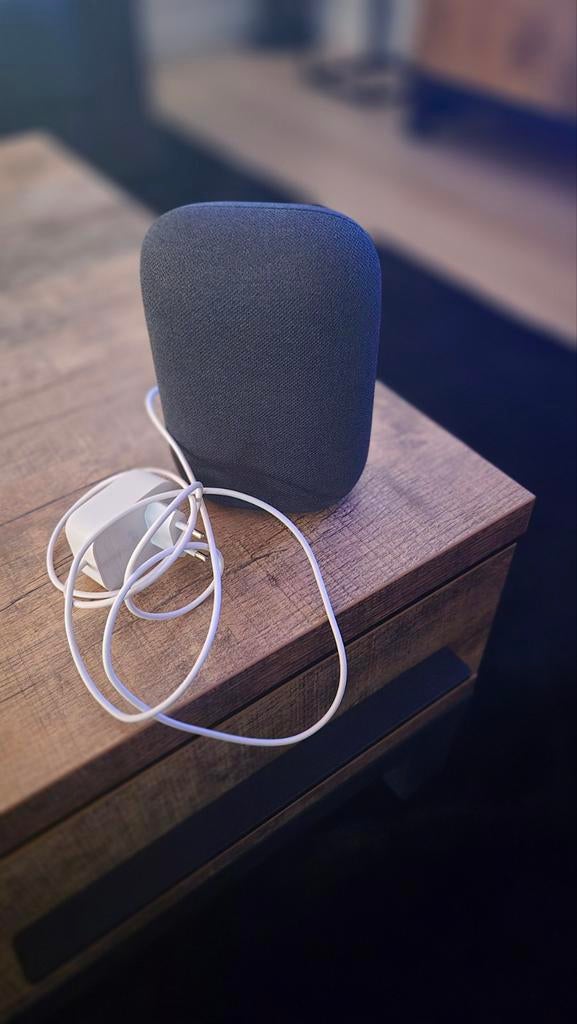 Google Nest Speaker, Ophalen of Verzenden