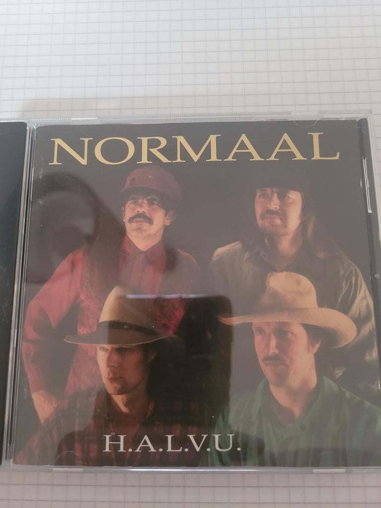 Normaal., Ophalen of Verzenden, Rock