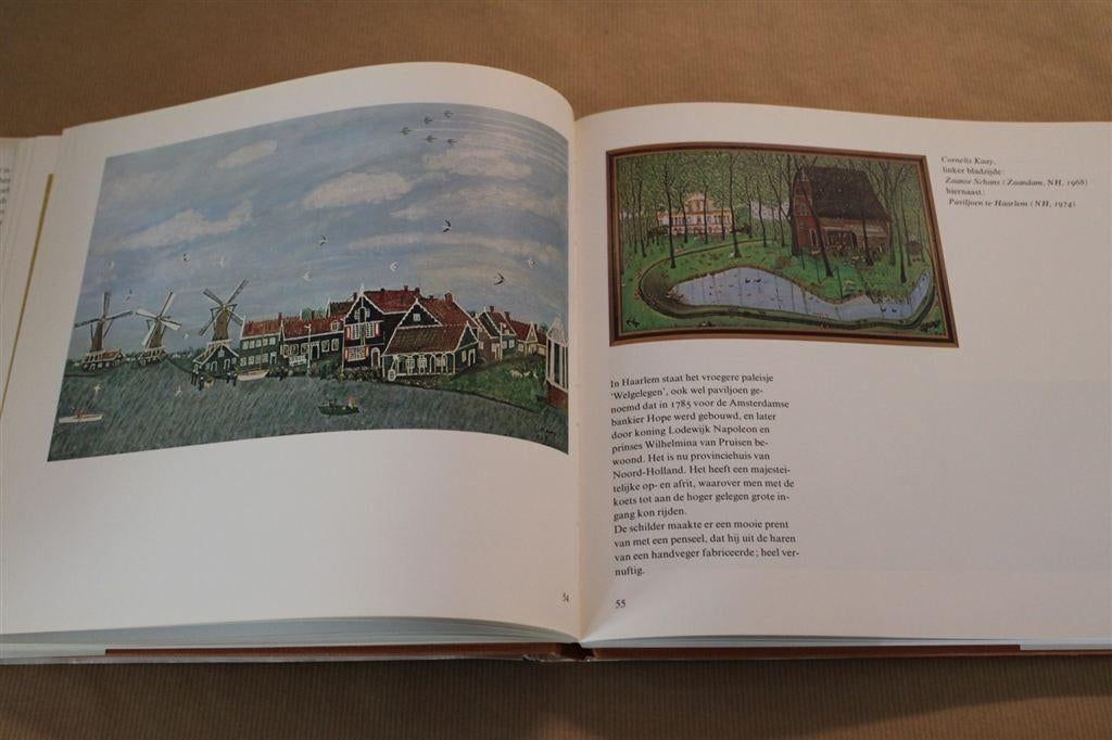 Naïeve schilders zien ons land., Ophalen of Verzenden, Gelezen