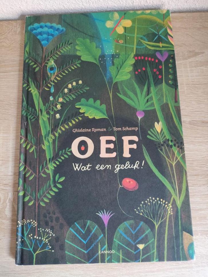 Ghislaine Roman - Oef, wat een geluk, Boeken, Prentenboeken en Plaatjesalbums, Zo goed als nieuw, Ophalen