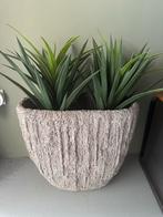 Bloempot vaas grijs, Ophalen, Rond, Zo goed als nieuw, Aardewerk